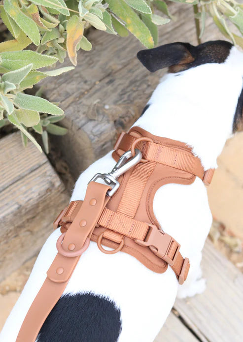 Brown Comfort Harness