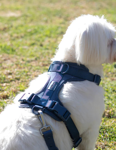 Navy Blue-Combo 1 (Harness, Leash and Poop bag)