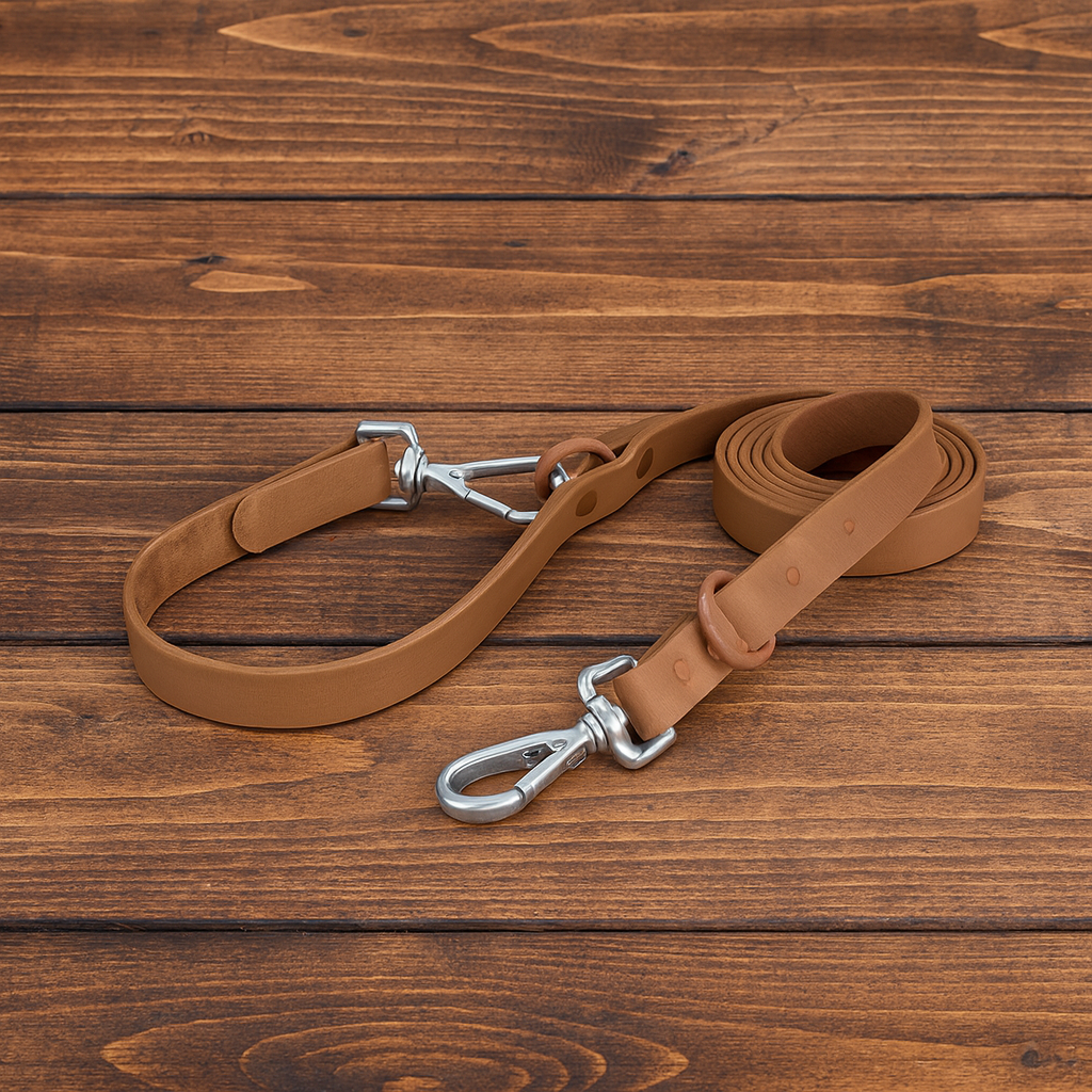 Brown Leash