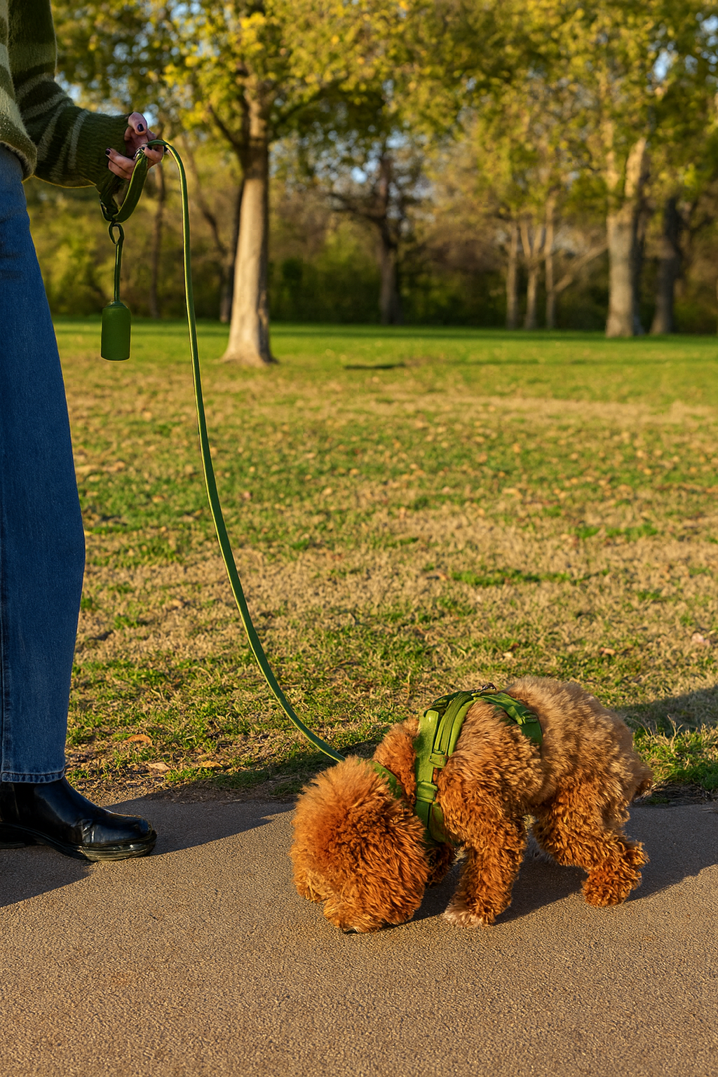 Green-Combo 1 (Harness, Leash and Poop bag)
