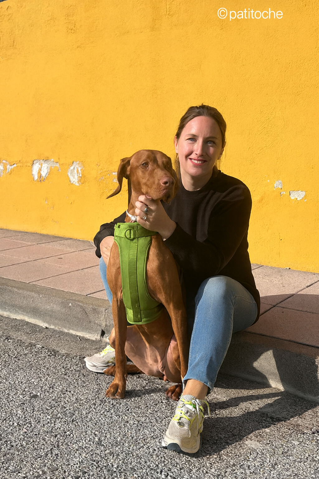 Green-Combo 1 (Harness, Leash and Poop bag)