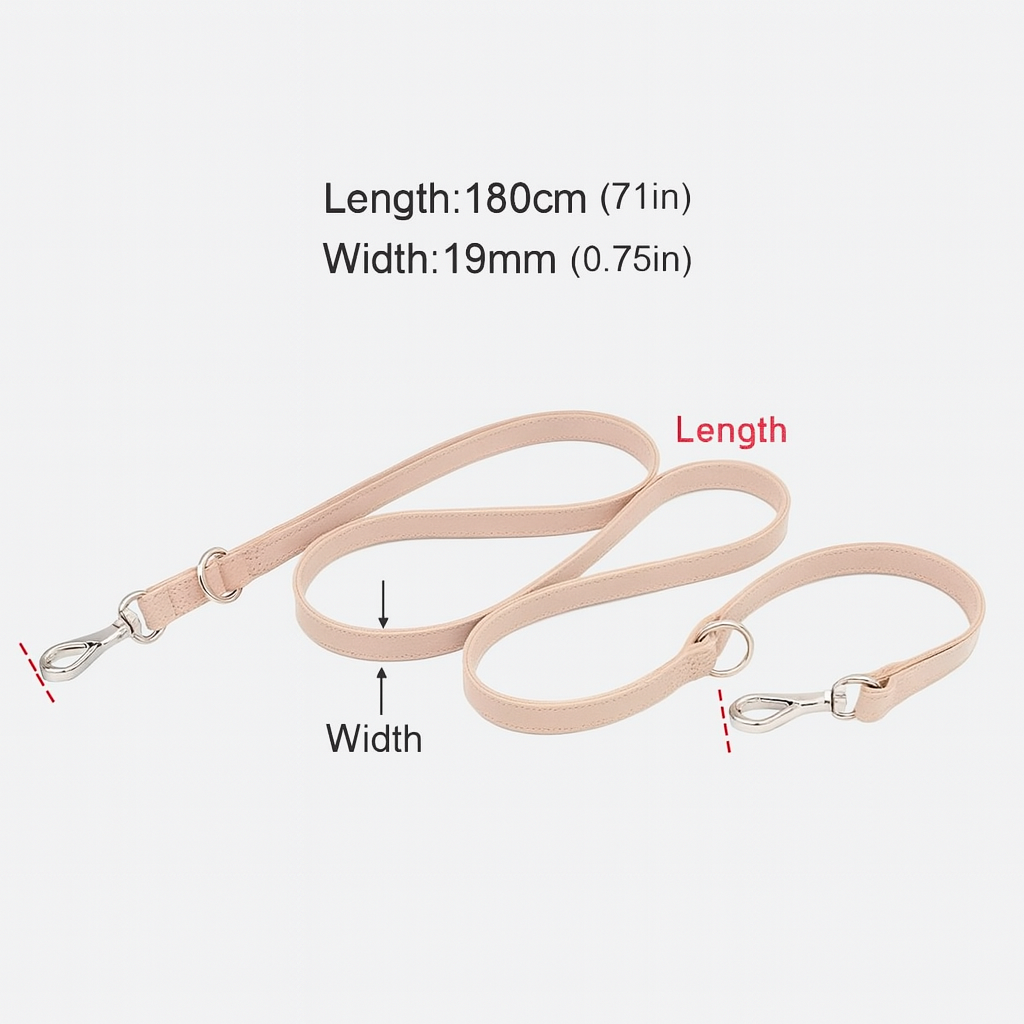 Black Leash