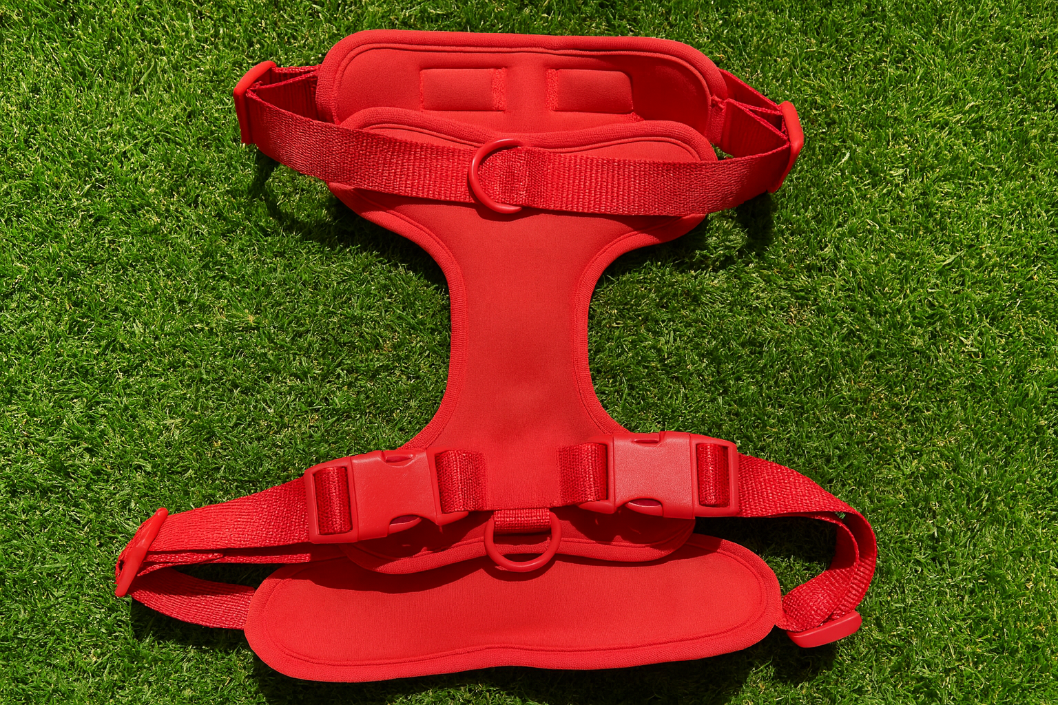 Red Comfort Harness